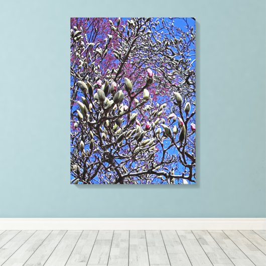 Magnolia, Mass of Buds Canvas Afdruk (Insitu (Houten vloer))