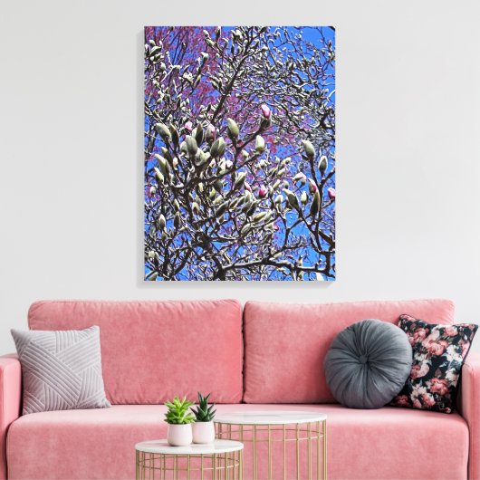 Magnolia, Mass of Buds Canvas Afdruk (Insitu (Woonkamer))