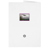 Magnolia Masses (Achterkant)