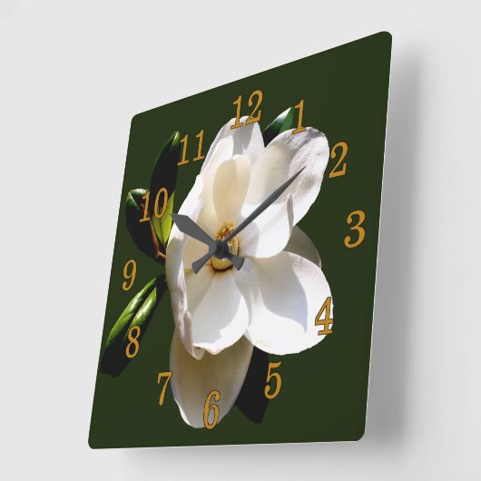 Magnolia met Gouden Cijfers Vierkante Klok (Hoek)