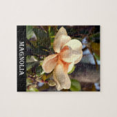 Magnolia (Mississippi en Louisiana) Legpuzzel (Horizontaal)