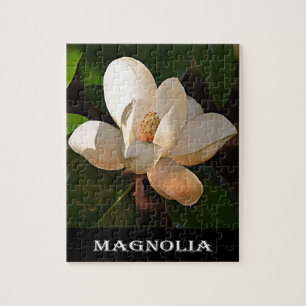 Magnolia (Mississippi en Louisiana) Legpuzzel