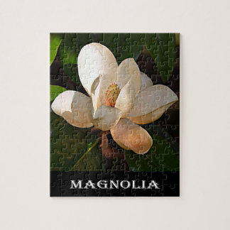 Magnolia (Mississippi en Louisiana) Legpuzzel
