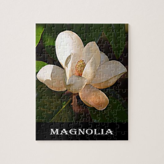 Magnolia (Mississippi en Louisiana) Legpuzzel (Verticaal)