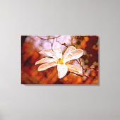 Magnolia Mood Canvas Afdruk (Voorkant)