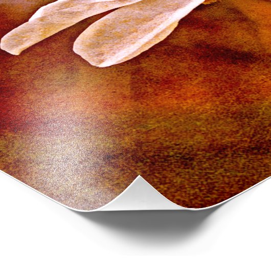 Magnolia Mood Foto Afdruk (Hoek)