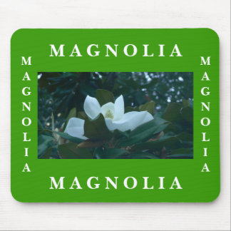 Magnolia Muismat
