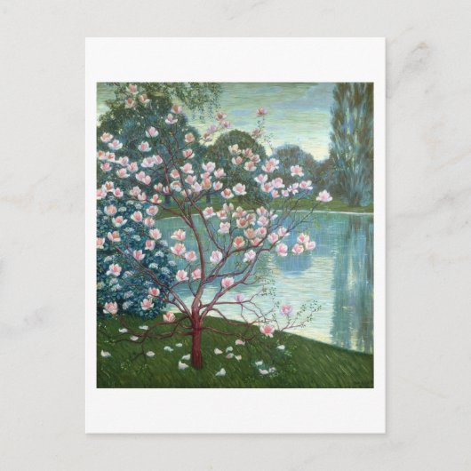 Magnolia (olie op canvas) briefkaart (Voorkant)