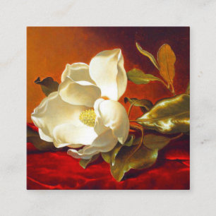 Magnolia op rode fluwelen Martin Johnson Heade Informatiekaartje