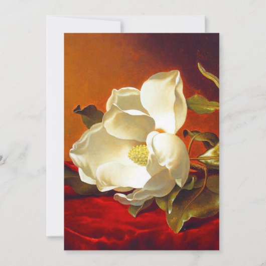 Magnolia op rood fluweel Martin Johnson hoofd Aankondiging (Voorkant)