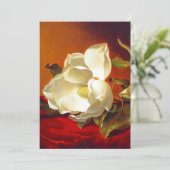 Magnolia op rood fluweel Martin Johnson hoofd Aankondiging (Staand voorkant)