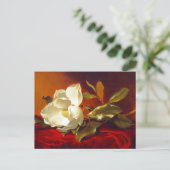 Magnolia op rood fluweel Martin Johnson hoofd Briefkaart (Staand voorkant)
