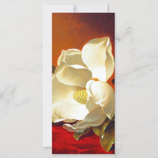 Magnolia op rood fluweel Martin Johnson hoofd Kaar (Voorkant)