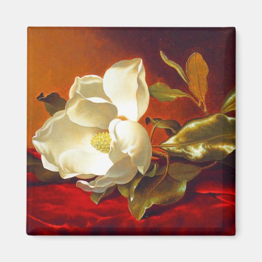 Magnolia op rood fluweel Martin Johnson hoofd Magneet (Voorkant)