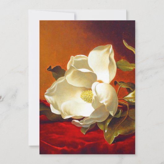 Magnolia op rood fluweel Martin Johnson hoofd Save The Date (Voorkant)