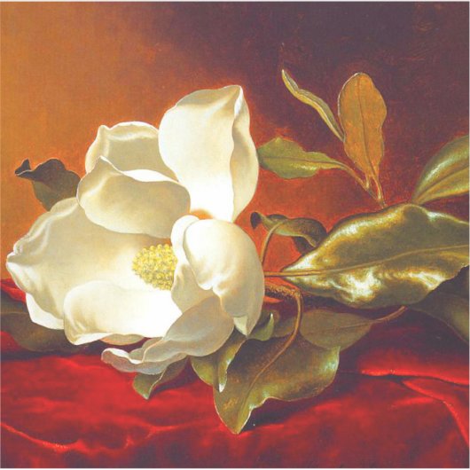 Magnolia op rood fluweel Martin Johnson hoofd Sticker (Voorkant)