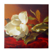 Magnolia op rood fluweel Martin Johnson hoofd Tegeltje (Voorkant)
