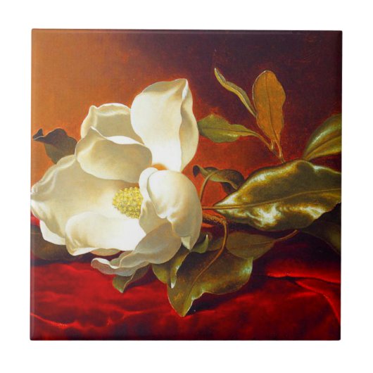 Magnolia op rood fluweel Martin Johnson hoofd Tegeltje (Voorkant)