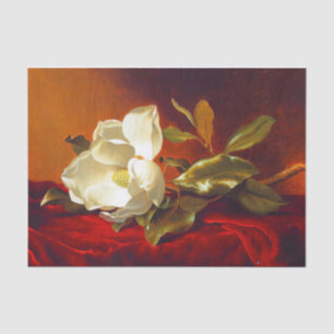 Magnolia op rood fluweel Martin Johnson hoofd Tissuepapier