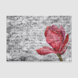 Magnolia  papier