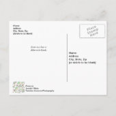 Magnolia Pattern Blank Post Card Briefkaart (Achterkant)