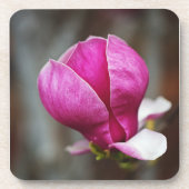 Magnolia Pink Full Bloom Bier Onderzetter (Voorkant)