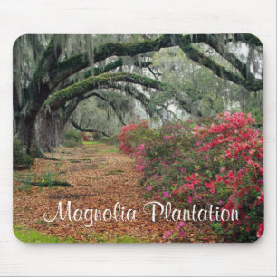 Magnolia Plantation/Charleston SC Mousepad Muismat