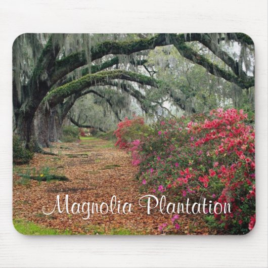 Magnolia Plantation/Charleston SC Mousepad Muismat (Voorkant)