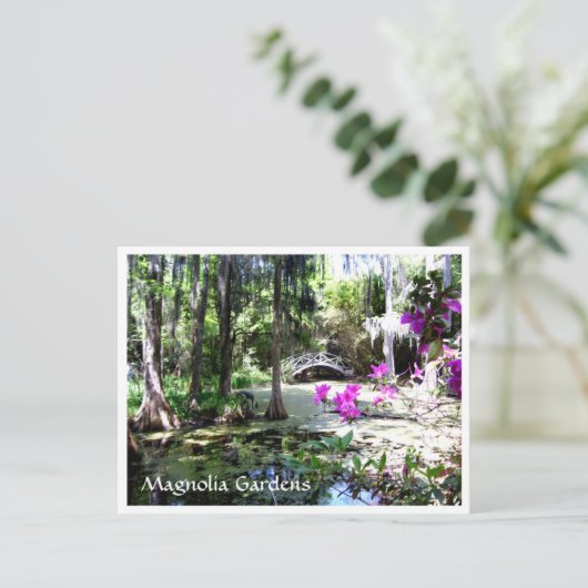 Magnolia Plantation Gardens Charleston SC Briefkaa Briefkaart (Staand voorkant)