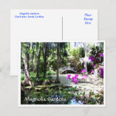 Magnolia Plantation Gardens Charleston SC Briefkaa Briefkaart (Voorkant / Achterkant)