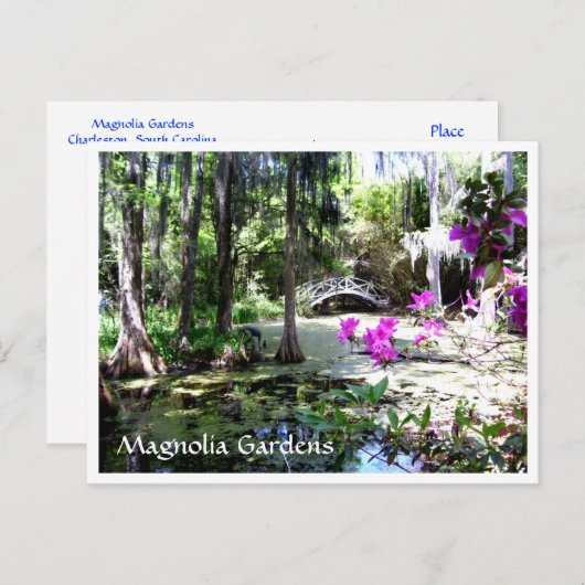 Magnolia Plantation Gardens Charleston SC Briefkaa Briefkaart (Voorkant / Achterkant)