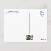 Magnolia Plantation Gardens Charleston SC Briefkaa Briefkaart (Achterkant)