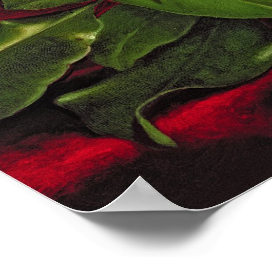 Magnolia Poster (Hoek)