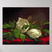 Magnolia Poster (Voorkant)