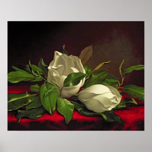 Magnolia Poster (Voorkant)