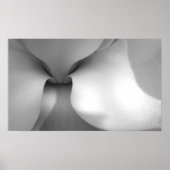 Magnolia Poster (Voorkant)