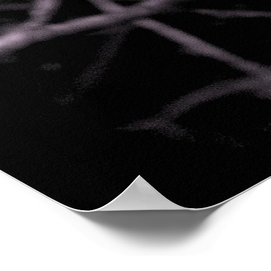 Magnolia Poster (Hoek)