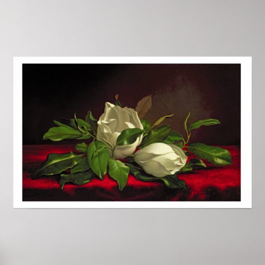 Magnolia Poster (Voorkant)