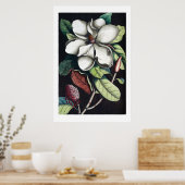 Magnolia poster (Keuken)