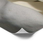 magnolia poster (Hoek)