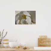 magnolia poster (Keuken)