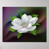 Magnolia Poster (Voorkant)