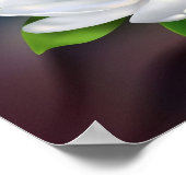 Magnolia Poster (Hoek)