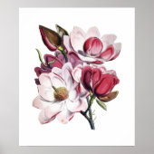 Magnolia poster (Voorkant)
