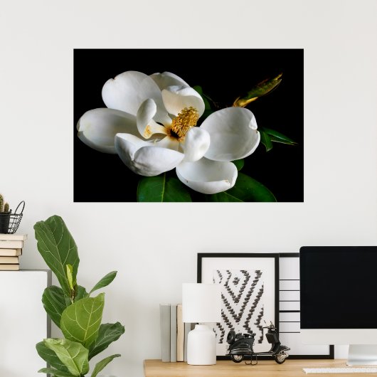 Magnolia Poster (Thuiskantoor)