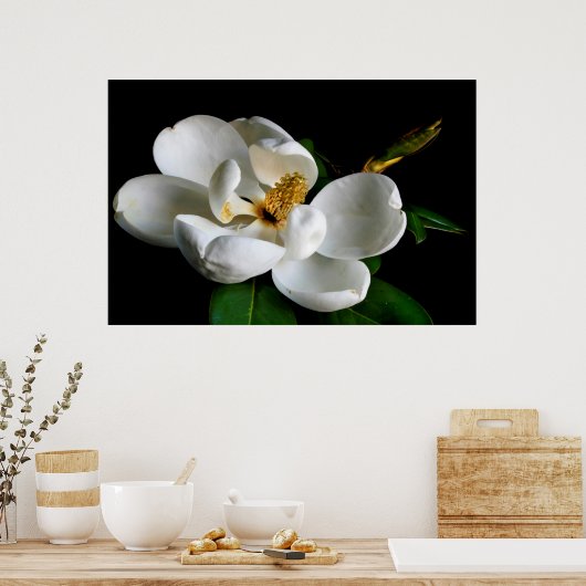Magnolia Poster (Keuken)
