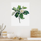 Magnolia poster (Keuken)