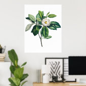 Magnolia poster (Thuiskantoor)