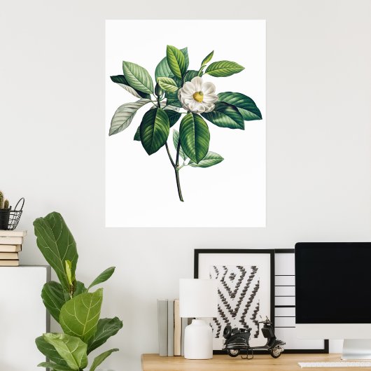 Magnolia poster (Thuiskantoor)