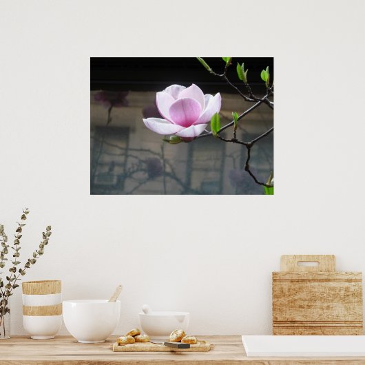 MAGNOLIA POSTER (Keuken)